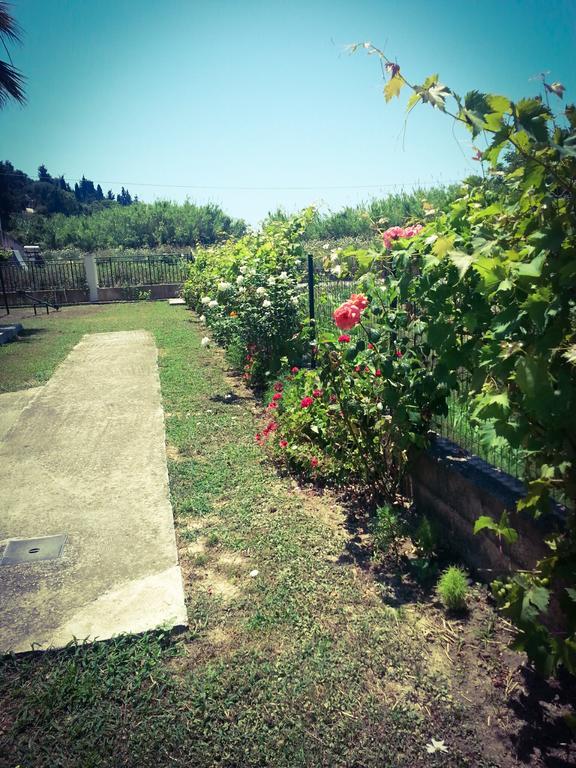 Apartment Feakes Arillas (Corfu)